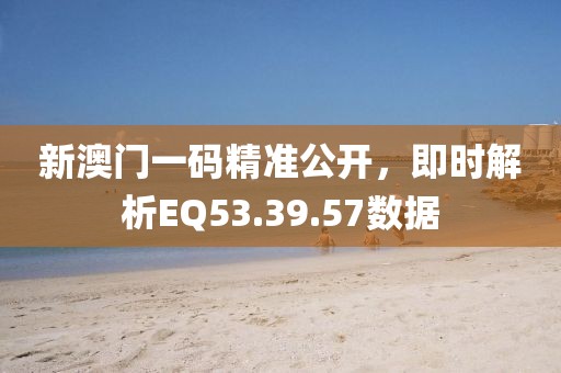 新澳門一碼精準公開，即時解析EQ53.39.57數據
