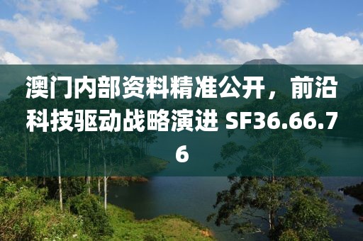 澳門內部資料精準公開，前沿科技驅動戰略演進 SF36.66.76