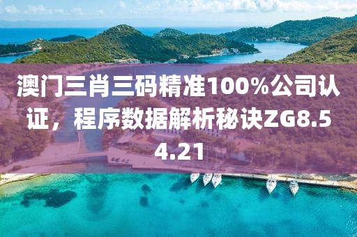 澳門三肖三碼精準100%公司認證，程序數據解析秘訣ZG8.54.21