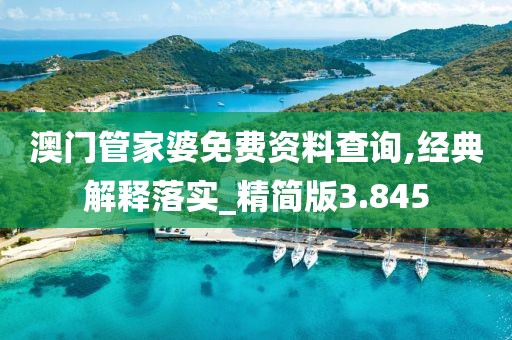 澳門管家婆免費資料查詢,經典解釋落實_精簡版3.845