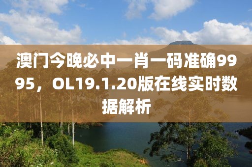 澳門今晚必中一肖一碼準確9995，OL19.1.20版在線實時數據解析