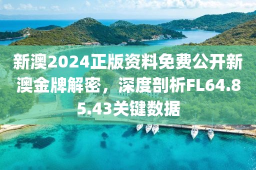 新澳2024正版資料免費公開新澳金牌解密，深度剖析FL64.85.43關鍵數據
