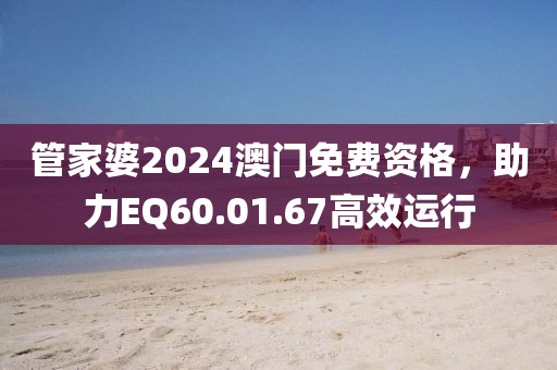 管家婆2024澳門免費資格，助力EQ60.01.67高效運行