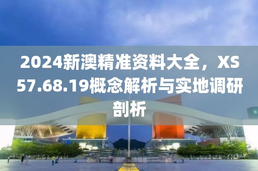 2024新澳精準資料大全，XS57.68.19概念解析與實地調研剖析