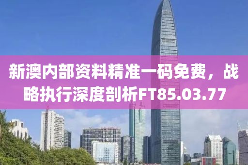 新澳內部資料精準一碼免費，戰略執行深度剖析FT85.03.77
