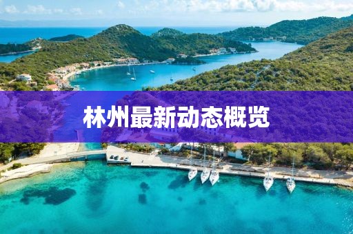 林州最新動態概覽