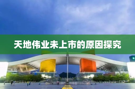 天地偉業未上市的原因探究