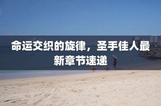 命運交織的旋律，圣手佳人最新章節速遞