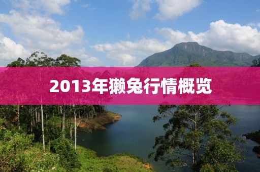 2013年獺兔行情概覽