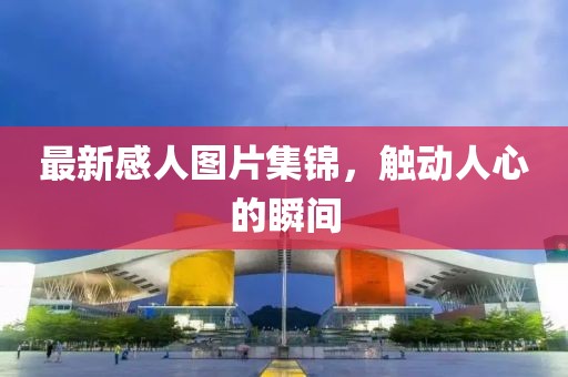 最新感人圖片集錦，觸動人心的瞬間