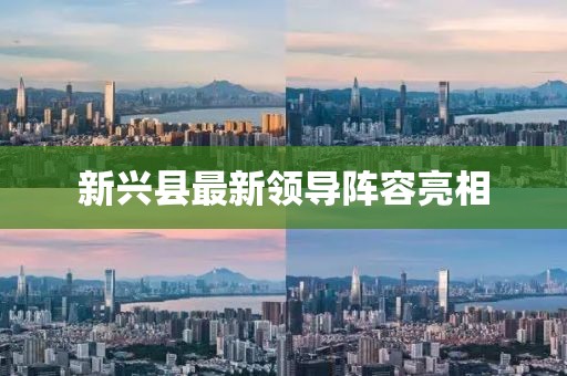 新興縣最新領導陣容亮相