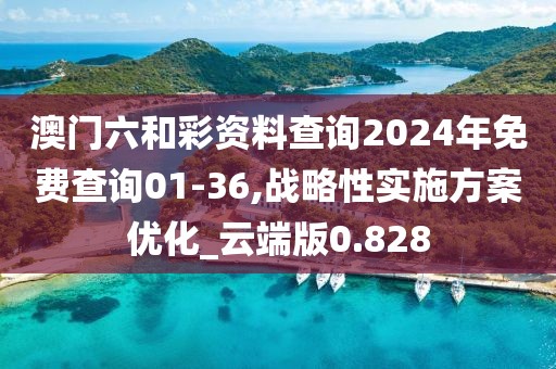 澳門六和彩資料查詢2024年免費查詢01-36,戰略性實施方案優化_云端版0.828