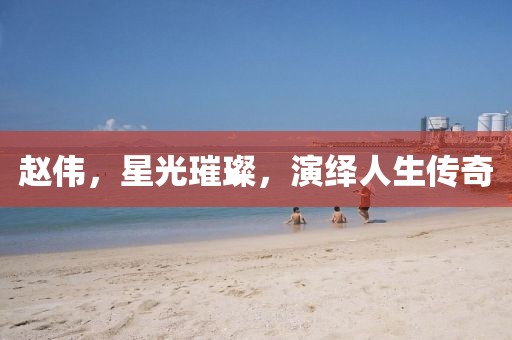趙偉，星光璀璨，演繹人生傳奇
