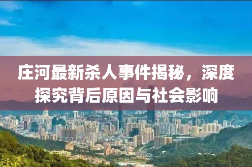 莊河最新殺人事件揭秘，深度探究背后原因與社會影響