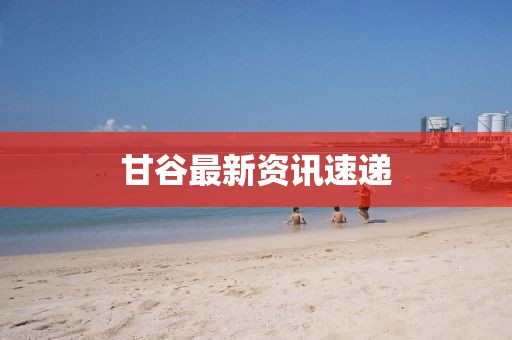 甘谷最新資訊速遞