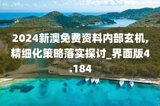 2024新澳免費資料內部玄機,精細化策略落實探討_界面版4.184