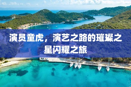 演員童虎，演藝之路的璀璨之星閃耀之旅
