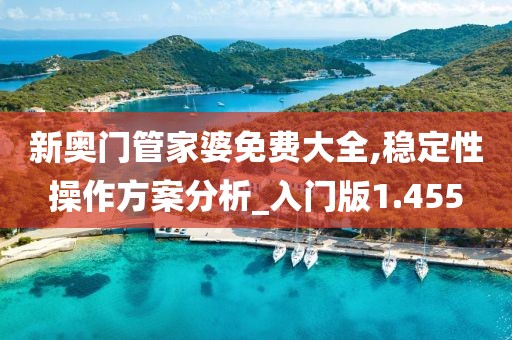 新奧門管家婆免費大全,穩定性操作方案分析_入門版1.455