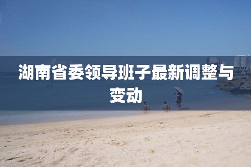 湖南省委領導班子最新調整與變動