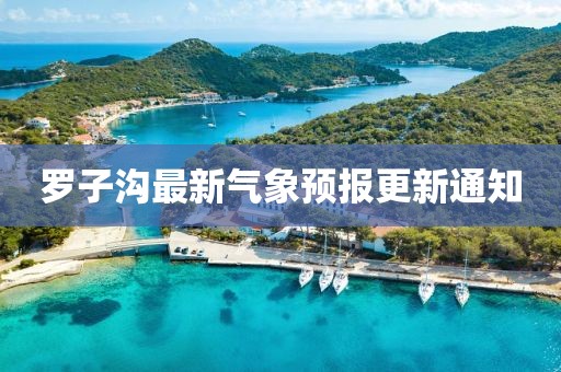 羅子溝最新氣象預報更新通知