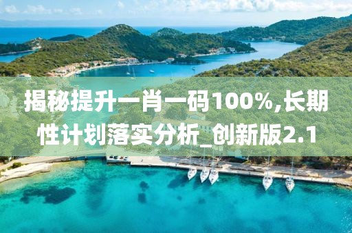 揭秘提升一肖一碼100%,長期性計劃落實分析_創新版2.1