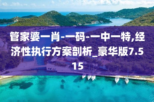 管家婆一肖-一碼-一中一特,經濟性執行方案剖析_豪華版7.515