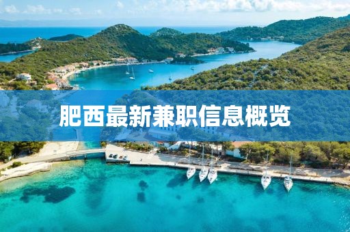 肥西最新兼職信息概覽