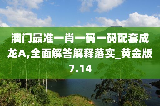 澳門最準一肖一碼一碼配套成龍A,全面解答解釋落實_黃金版7.14