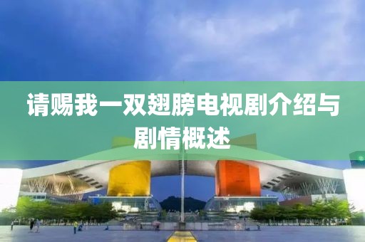 請賜我一雙翅膀電視劇介紹與劇情概述