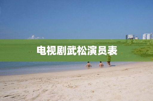 電視劇武松演員表