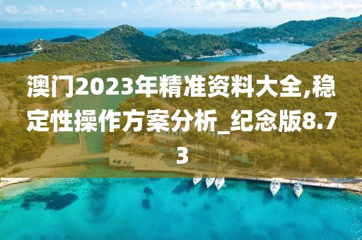 澳門2023年精準資料大全,穩定性操作方案分析_紀念版8.73