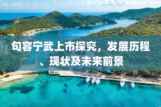 句容寧武上市探究，發展歷程、現狀及未來前景