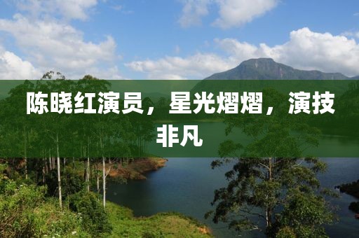 陳曉紅演員，星光熠熠，演技非凡