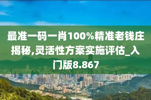 最準一碼一肖100%精準老錢莊揭秘,靈活性方案實施評估_入門版8.867