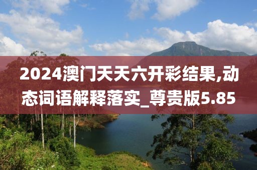 2024澳門天天六開彩結果,動態詞語解釋落實_尊貴版5.85