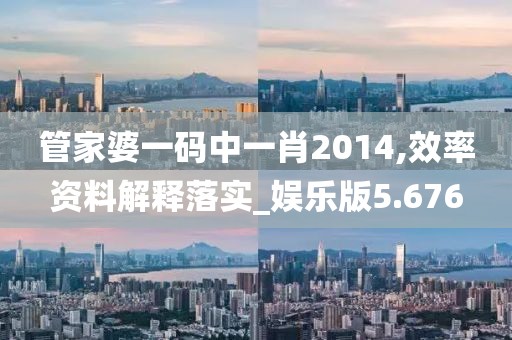 管家婆一碼中一肖2014,效率資料解釋落實_娛樂版5.676