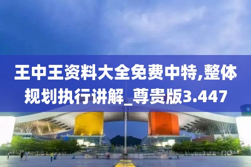 王中王資料大全免費中特,整體規劃執行講解_尊貴版3.447