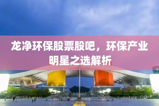 龍凈環保股票股吧，環保產業明星之選解析