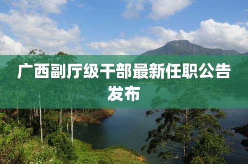 廣西副廳級干部最新任職公告發布