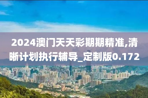 2024澳門天天彩期期精準,清晰計劃執行輔導_定制版0.172