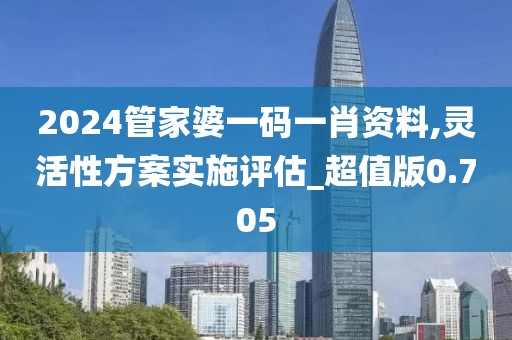 2024管家婆一碼一肖資料,靈活性方案實施評估_超值版0.705