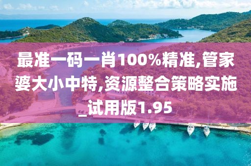 最準一碼一肖100%精準,管家婆大小中特,資源整合策略實施_試用版1.95
