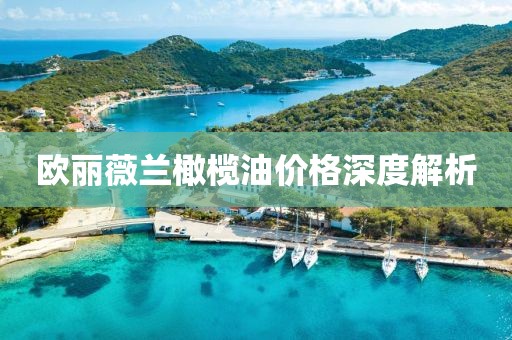 歐麗薇蘭橄欖油價格深度解析