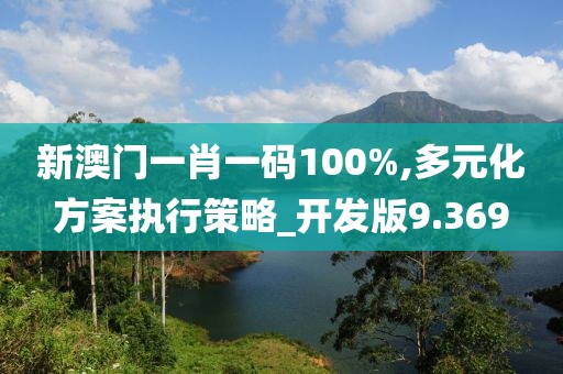 新澳門一肖一碼100%,多元化方案執行策略_開發版9.369