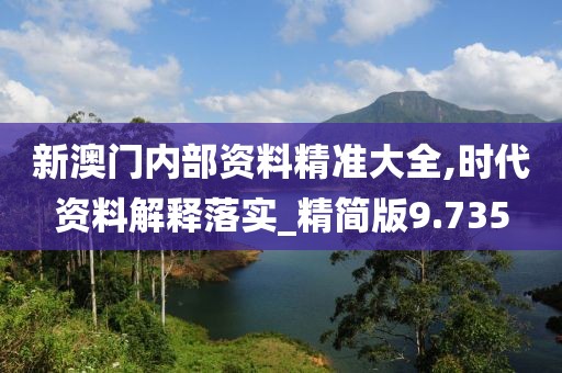 新澳門內部資料精準大全,時代資料解釋落實_精簡版9.735