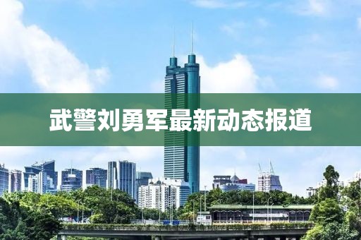 武警劉勇軍最新動態報道