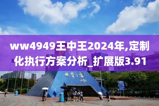 ww4949王中王2024年,定制化執行方案分析_擴展版3.91