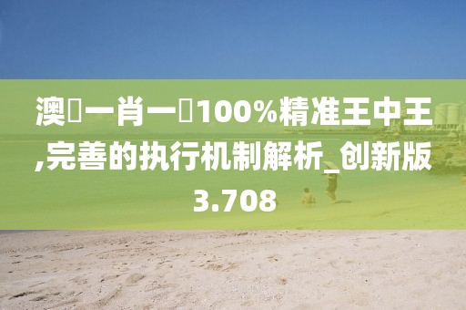 澳門一肖一碼100%精準王中王,完善的執行機制解析_創新版3.708