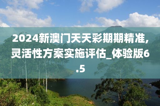 2024新澳門天天彩期期精準,靈活性方案實施評估_體驗版6.5