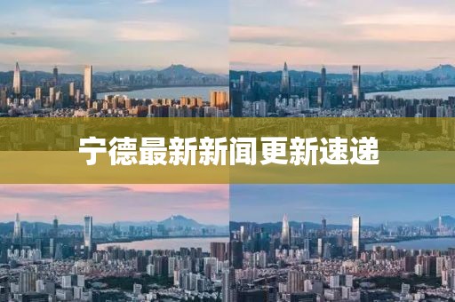 寧德最新新聞更新速遞